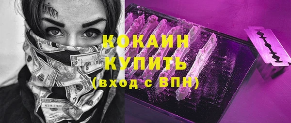 шишки Балахна
