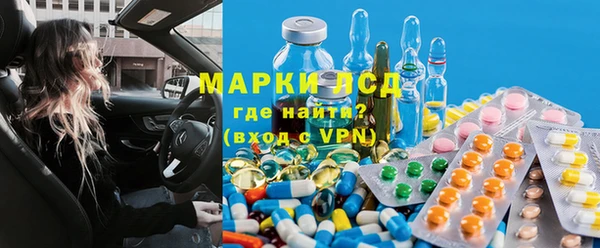стаф Баксан