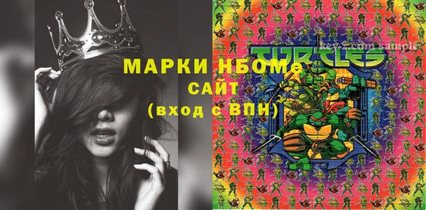 шишки Балахна