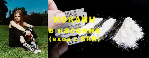 шишки Балахна