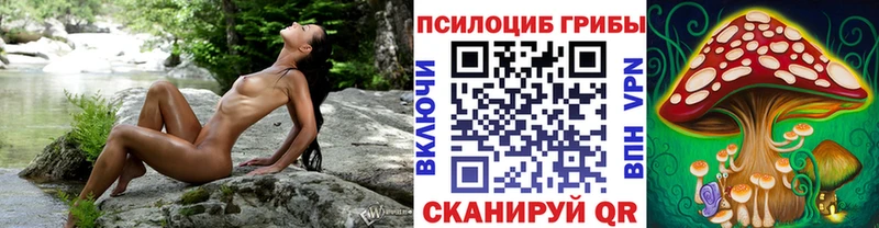 OMG зеркало  Красный Кут  Галлюциногенные грибы GOLDEN TEACHER 